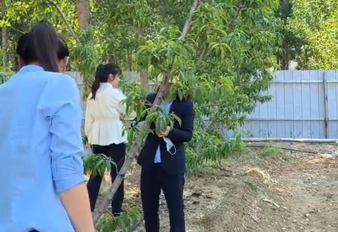 意美特周報 總第001期(pic12) 意美特周報 總第001期(pic12)