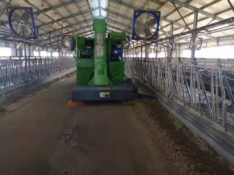 【學技術】巧用老土方治牛病有奇效！(圖1)